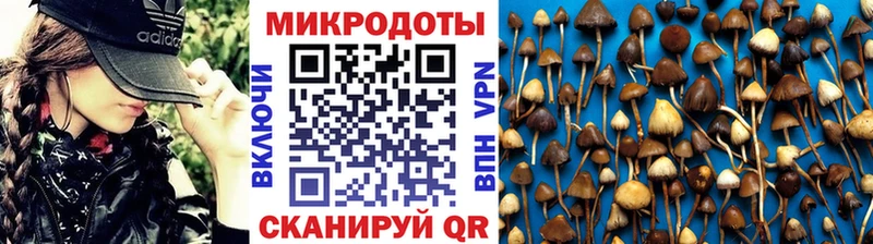 Псилоцибиновые грибы Psilocybine cubensis  Невель 