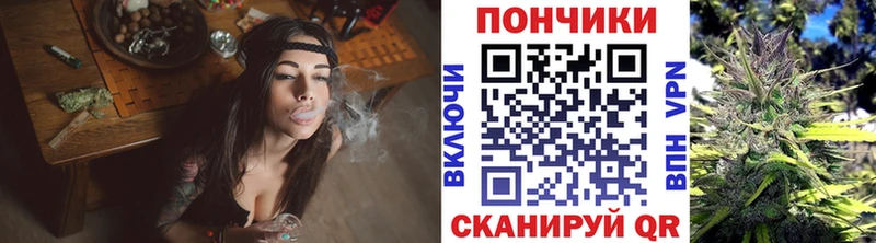 Бошки Шишки марихуана  OMG tor  Невель 